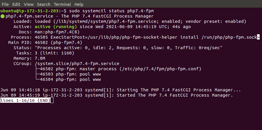 Status of PHP-FPM service