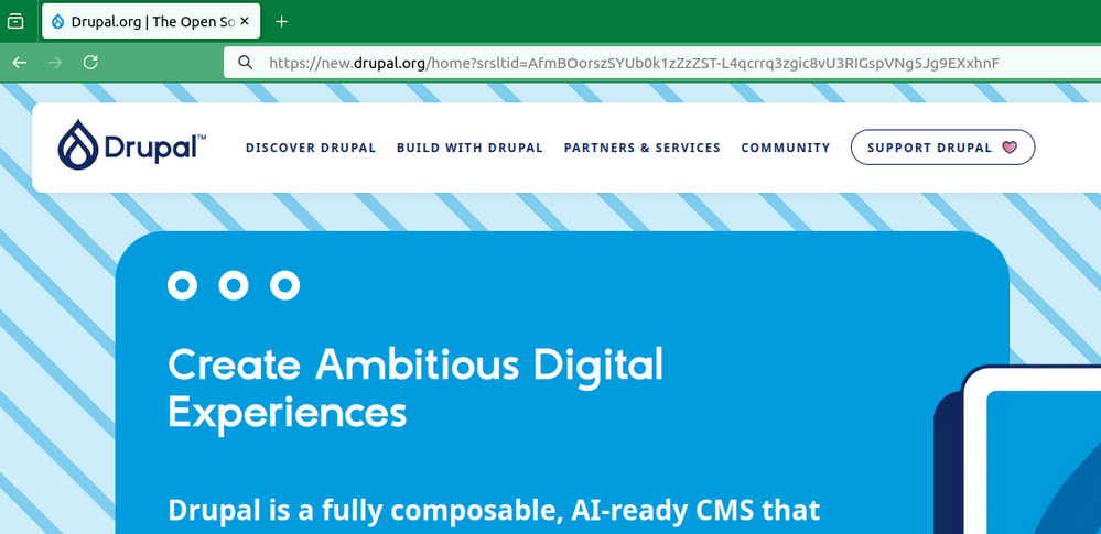 An example of srsltid parameter added to a path