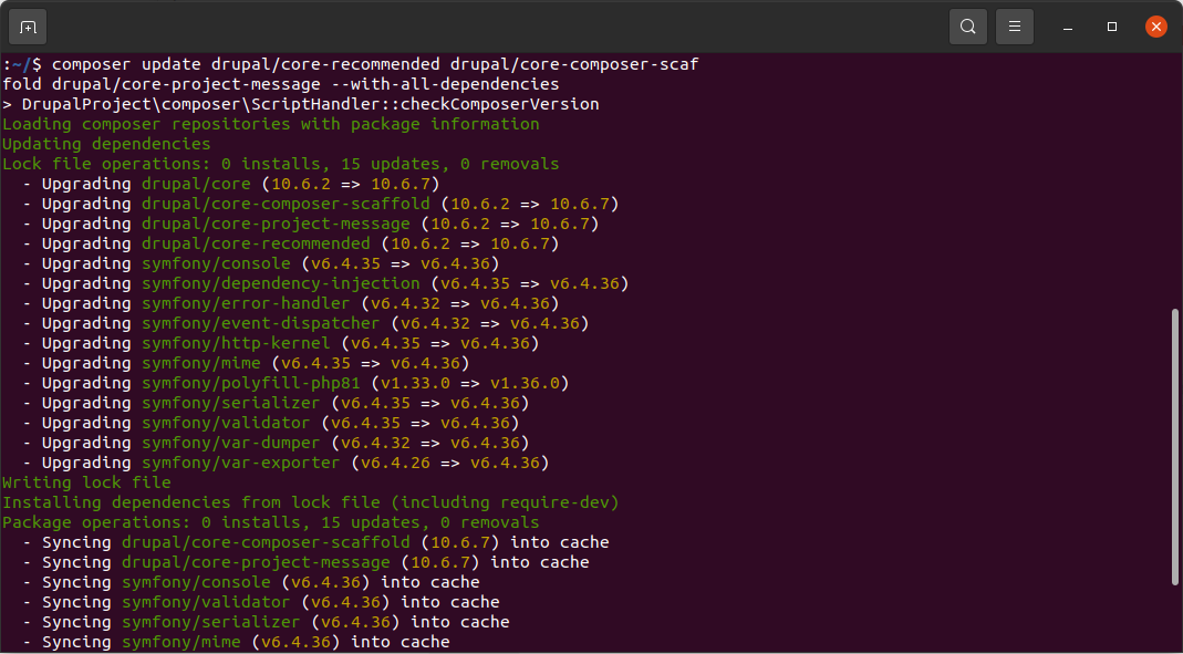 Composer update command.
