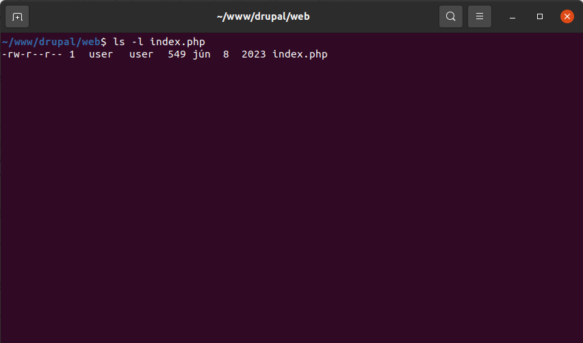 permissions for your main index file (index.php)