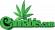 Cannabis.com