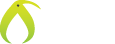 KiwiFarms