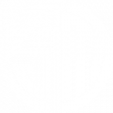 Team SoloMid