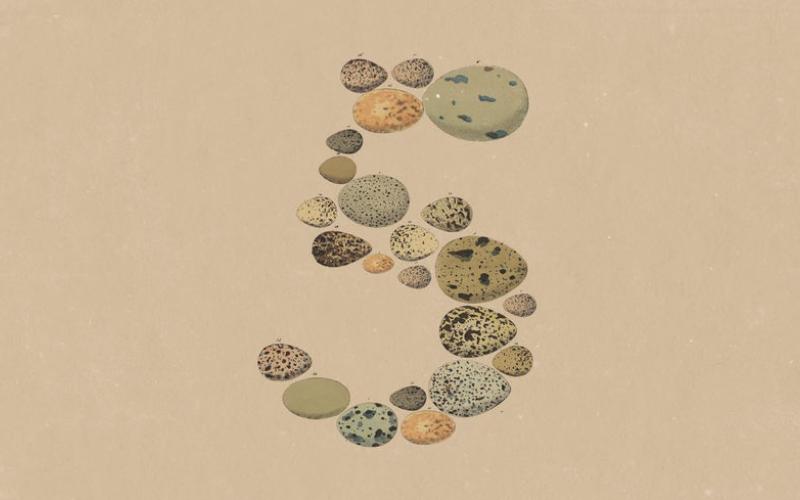 Anthropic Releases Claude Opus 5