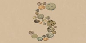 Anthropic Releases Claude Opus 5